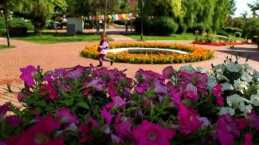 &Ccedil;ankaya&rsquo;nın &Ccedil;i&ccedil;ekleri Her Yeri S&uuml;sl&uuml;yor