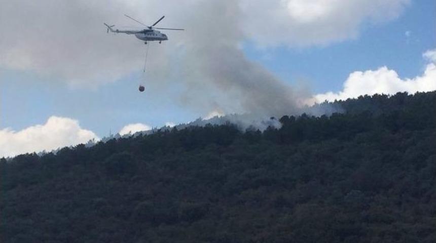 Maltepe&rsquo;de Ormanlık Alanda 3 Ayrı Noktada Yangın