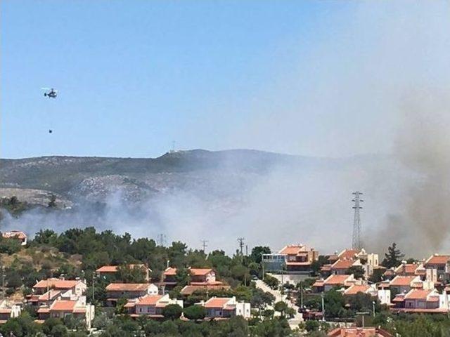 Çeşme’deki Yangın, Yazlıkçıları Korkuttu