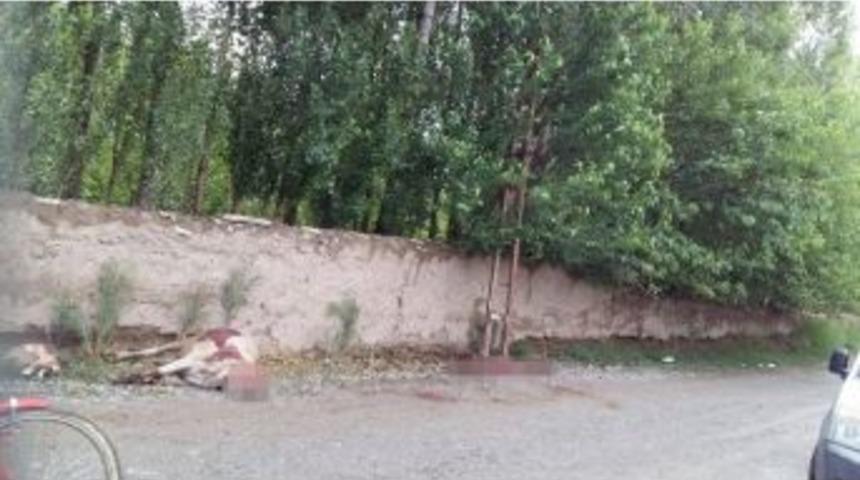 Iğdır&rsquo;da Kopan Elektrik Kablosu Faciaya Neden Oluyordu