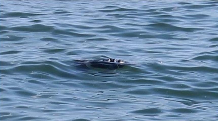 Marmara Denizi&rsquo;nde Ceset Bulundu