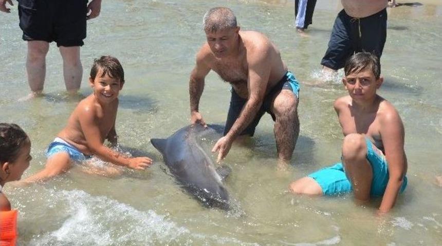Kıyıya Vuran Yavru Yunusu Vatandaşlar Kurtardı