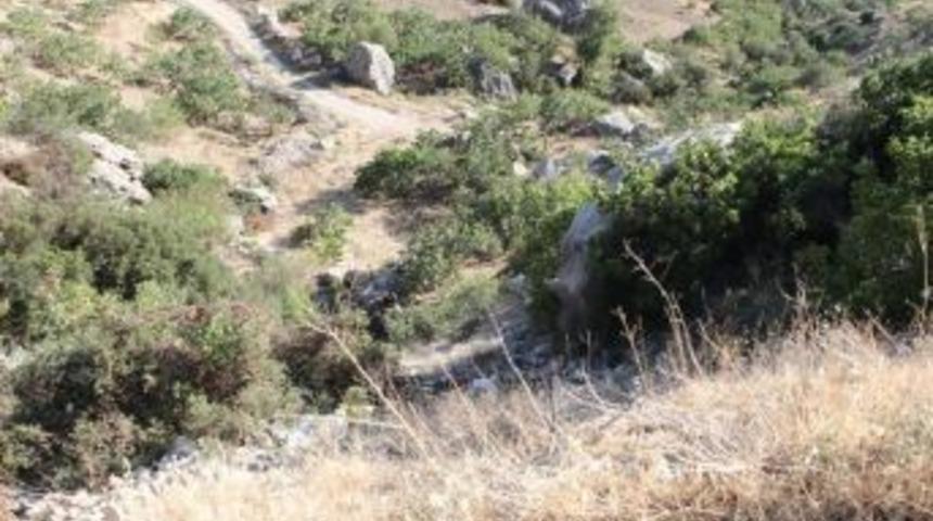 Mersin&rsquo;de Otomobil U&ccedil;uruma Yuvarlandı: 1 &Ouml;l&uuml;, 4 Yaralı