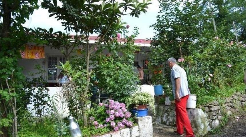 Ordu&rsquo;da 6 Yıllık Arazi Davası 6 Can Aldı