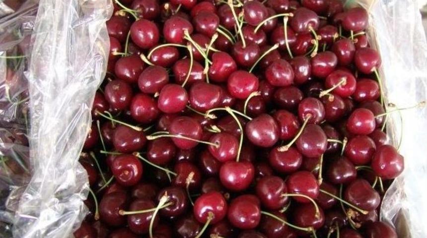 Kiraz İhracatı Y&uuml;z G&uuml;ld&uuml;rd&uuml;