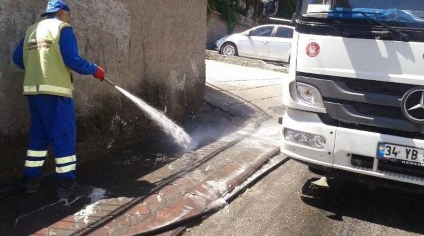 Ke&ccedil;i&ouml;ren Pırıl Pırıl