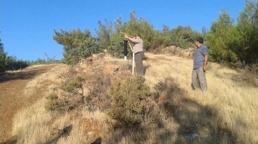 Orman Zararlıları İle Mücadele Başlatıldı