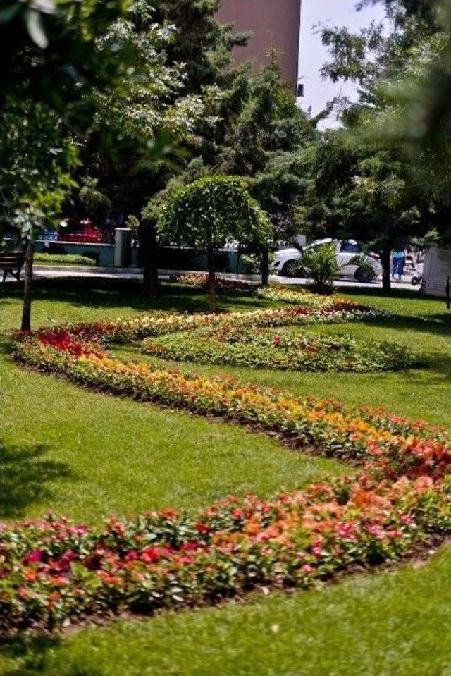 Maltepe’nin Parkları Çiçeklendi