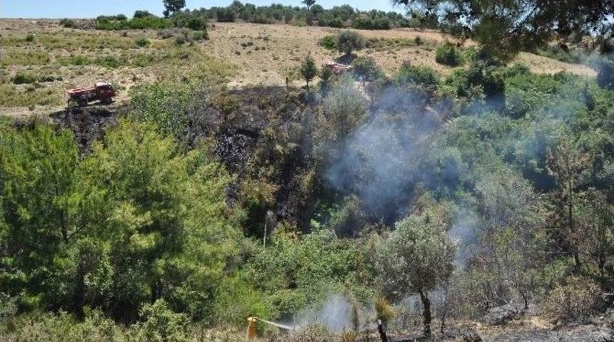 Manavgat&rsquo;ta Makilik Yangını