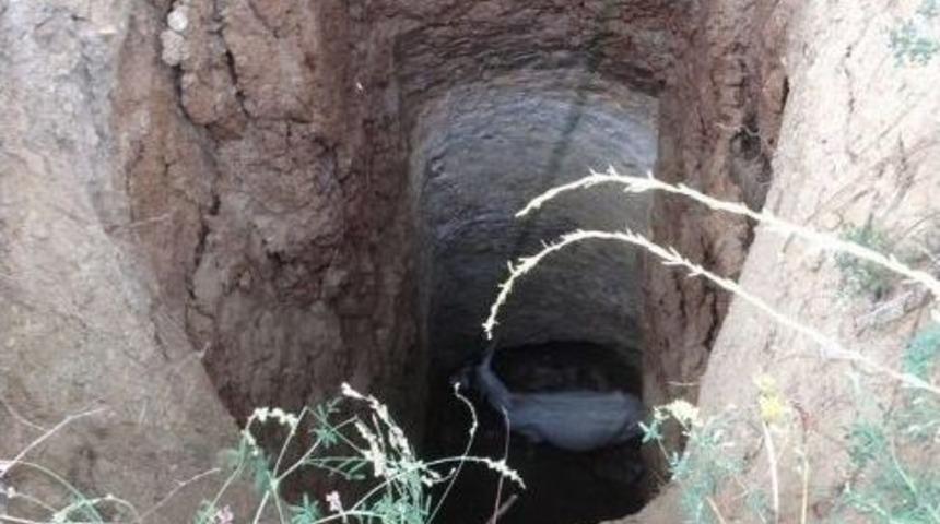 Kuyuya D&uuml;şen Ke&ccedil;iyi İtfaiye Ekipleri Kurtardı