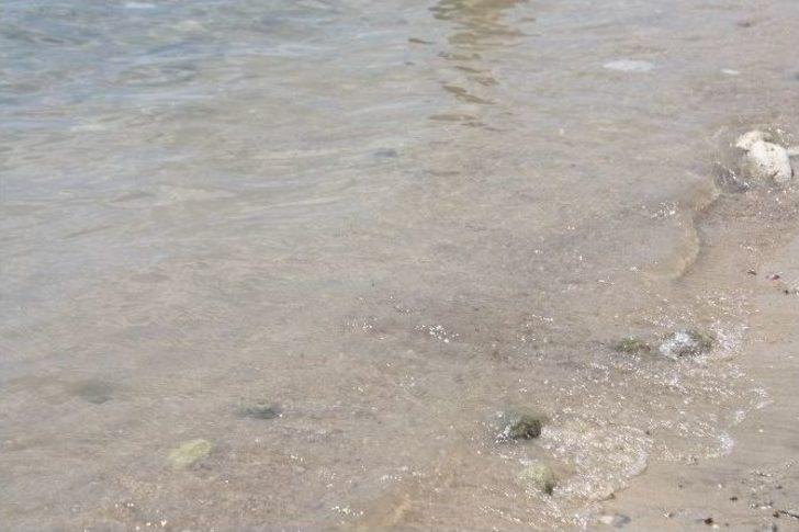 Denize Akan Arıtma Suyu Sağlığı Tehdit Ediyor G1