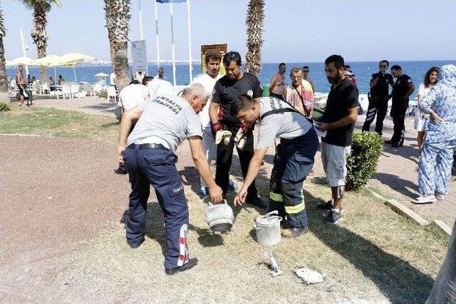 Düdüklü Tenceredeki Süt Mısır Dünyaca Ünlü Sahili Birbirine Kattı