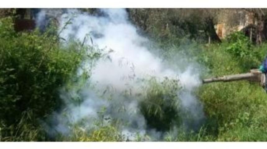 L&uuml;leburgaz&rsquo;da Sinekle M&uuml;cadele &Ccedil;alışmaları