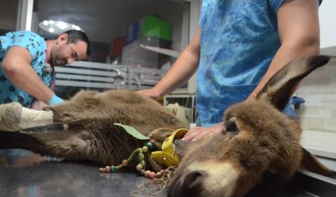 (&ouml;zel Haber) Otomobilin &Ccedil;arptığı 20 G&uuml;nl&uuml;k Sıpaya Operasyon