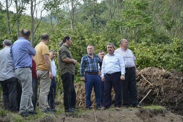 Başkan Anlayan Selden Zarar Gören Yerlerde İncelemelerde Bulundu