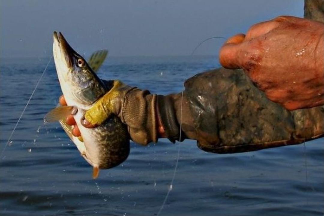 G&ouml;lyazı B&uuml;y&uuml;l&uuml;yor