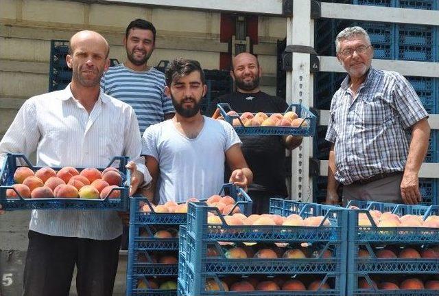 Şeftalinin Fiyatı, Üreticiyi Memnun Etmedi