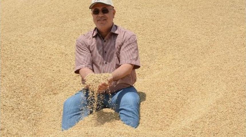 Aksaray&rsquo;da Kuraklık Rekolteyi Vurdu