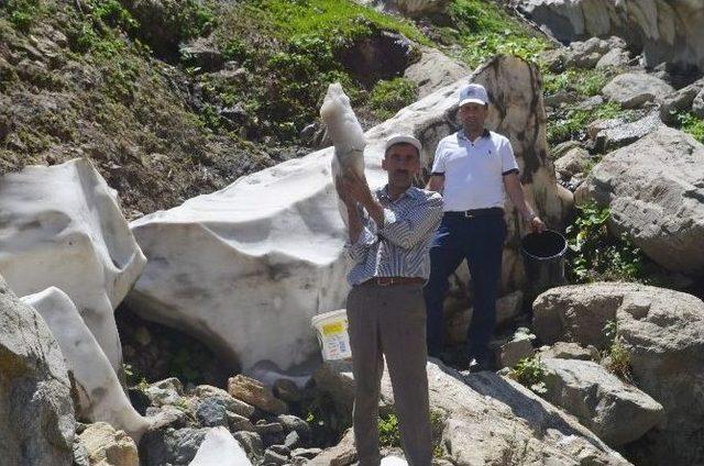 (özel Haber) Bingöl’de Yaz Ortasında Kar Keyfi