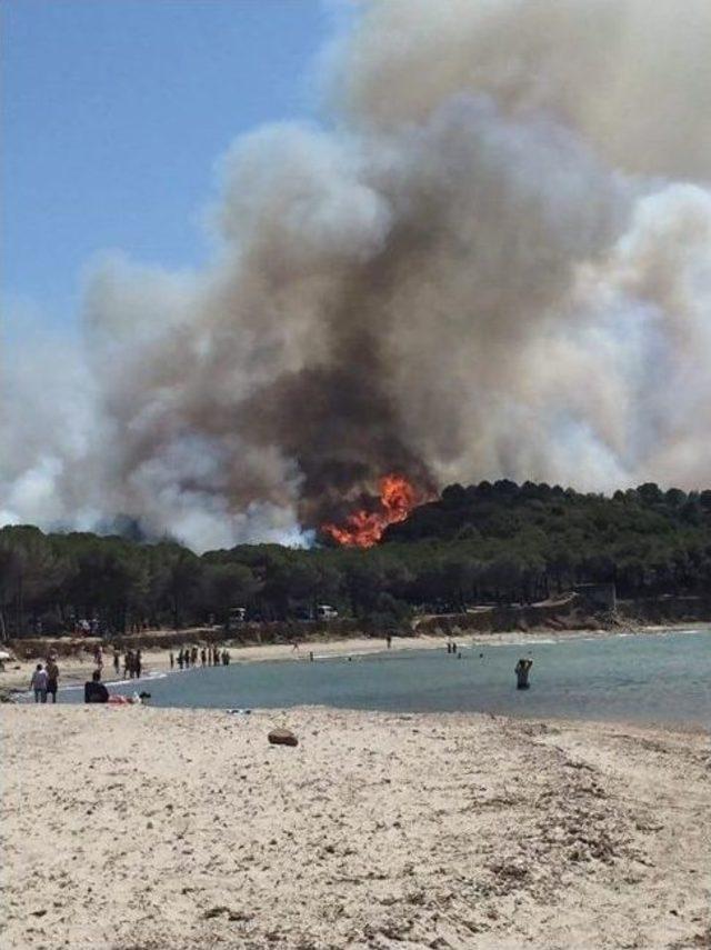 Çanakkale’de Orman Yangını