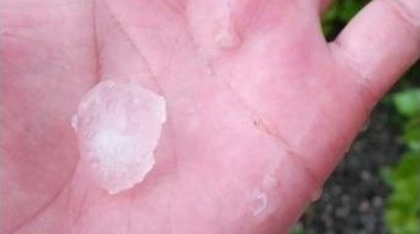 Ağrı&rsquo;da Fındık B&uuml;y&uuml;kl&uuml;ğ&uuml;nde Dolu Yağdı