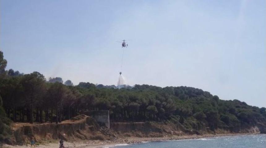 &Ccedil;anakkale&rsquo;deki Orman Yangını