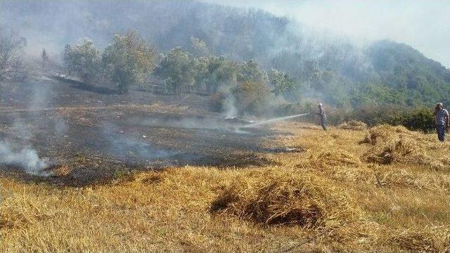 Çanakkale’de İkinci Orman Yangını