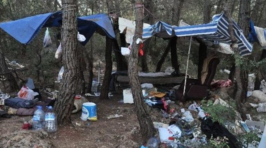 Ormanlık Alanda &Ouml;l&uuml; Bulundu