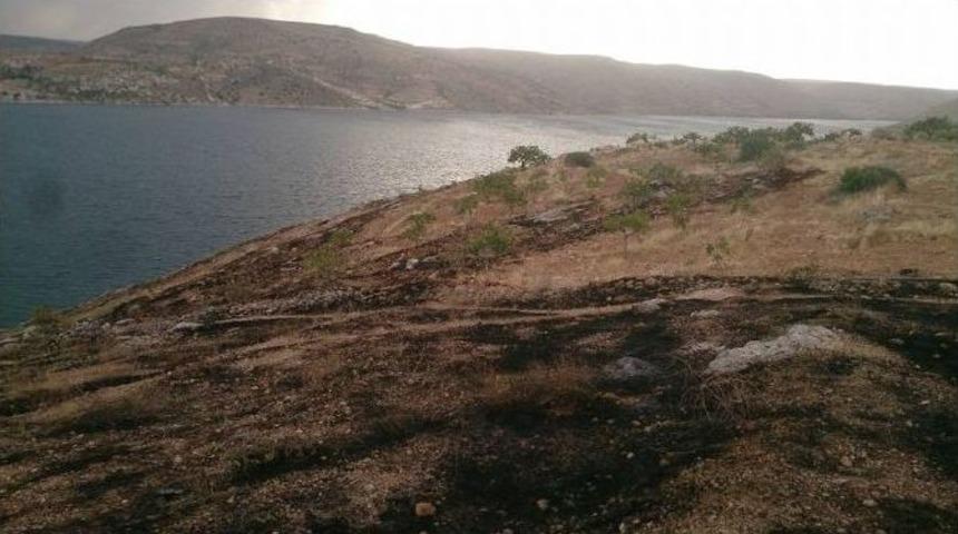 Halfeti&rsquo;de Fıstık Tarlasındaki Ağa&ccedil;lar Ateşe Verildi