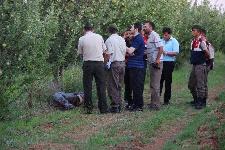 Boğazı Kesik Ve Çenesinden Tüfekle Vurularak Ölmüş Vaziyette Bulundu G4