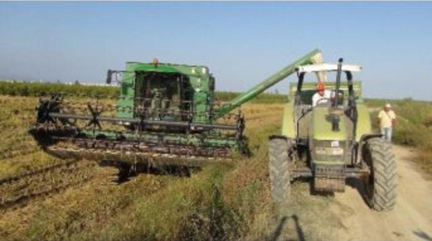 Silifke&rsquo;de &Ccedil;eltik &Uuml;retiminde Ekim Ve İla&ccedil;lama Sezonu Başladı