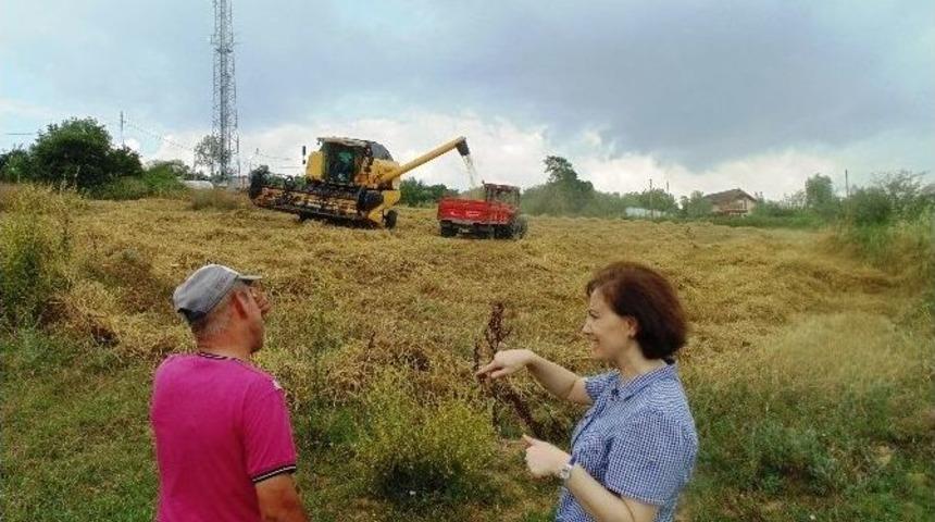 İzmit Belediyesi, İl&ccedil;e Genelindeki Hizmetlerine Devam Ediyor