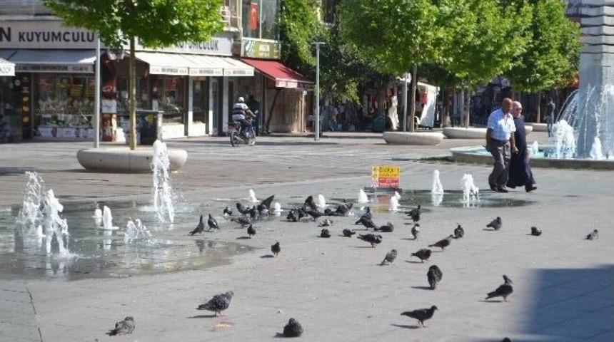 Sıcaktan Bunalan G&uuml;vercinler Su Fıskiyesinde Serinledi