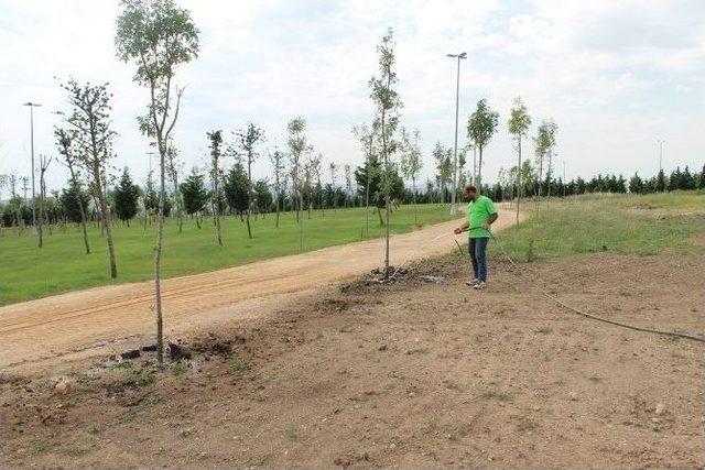 Büyükşehir, Dilovası’na Dinlenme Tesisi Yapıyor