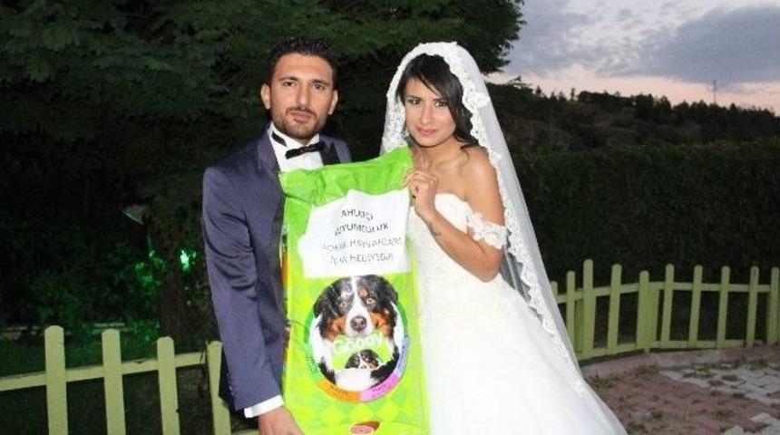 (&ouml;zel Haber) D&uuml;ğ&uuml;ne &Ccedil;i&ccedil;ek Yerine K&ouml;pek Mamasıyla Geldiler