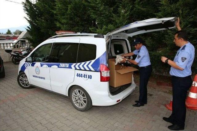 Cami Minaresindeki Yuvasından D&uuml;şen Leylek İtfaiye Tarafından Kurtarıldı 1