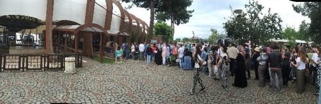 Ordu&rsquo;da Şaşırtan Kuyruk