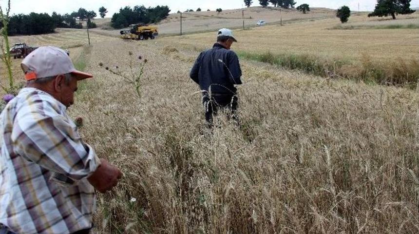 Bi&ccedil;erd&ouml;ver İ&ccedil;in Eğitim Şart