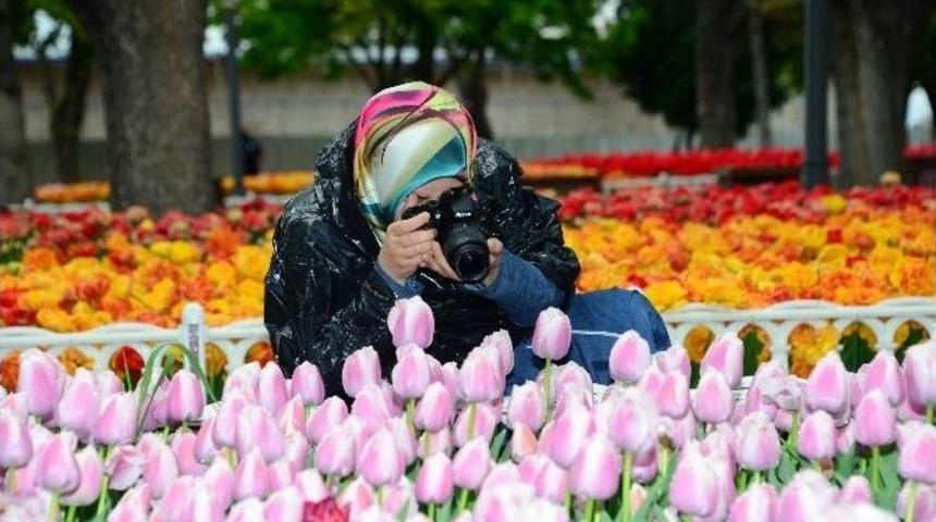 &ldquo;&ccedil;i&ccedil;ek Gibi Konya&rdquo; Yarışması İlgi G&ouml;r&uuml;yor