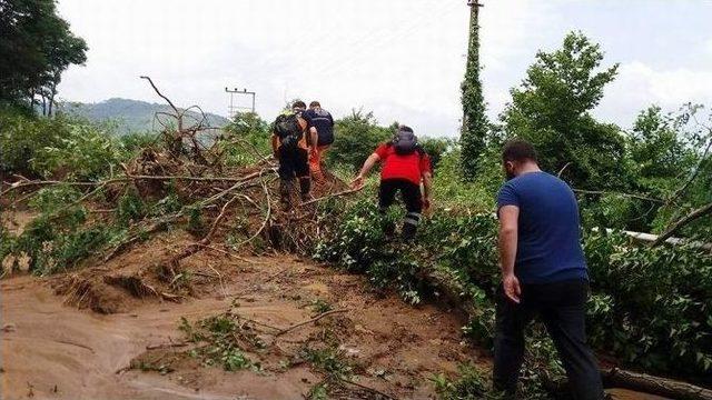 Ordu’da Selde Kaybolan 2 Kişi 5 Gündür Bulunamadı