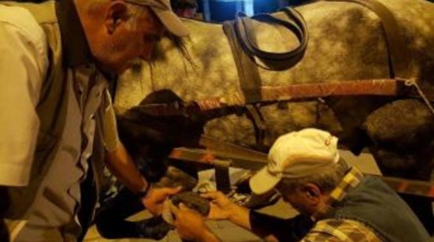 Unutulmaya Y&uuml;z Tutmuş Meslek, Nalbant&ccedil;ılık