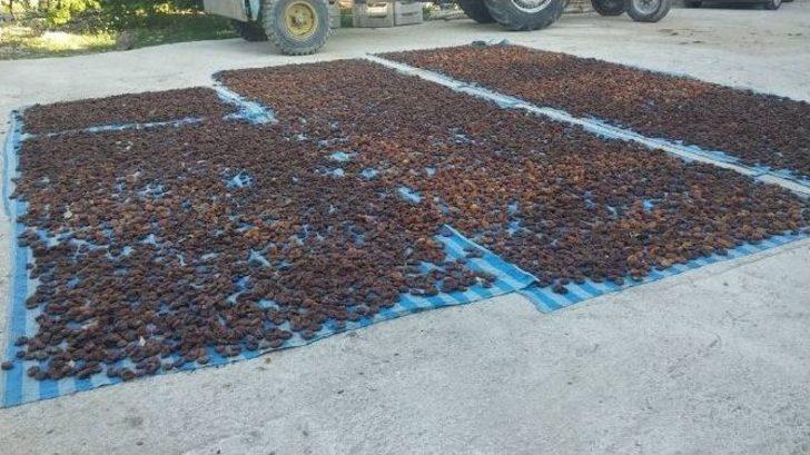 Çiftçinin Yüzü Yine Gülmedi G1