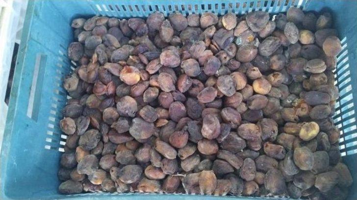 Çiftçinin Yüzü Yine Gülmedi G2