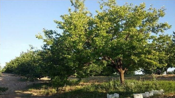 Çiftçinin Yüzü Yine Gülmedi G3