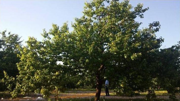 Çiftçinin Yüzü Yine Gülmedi G4