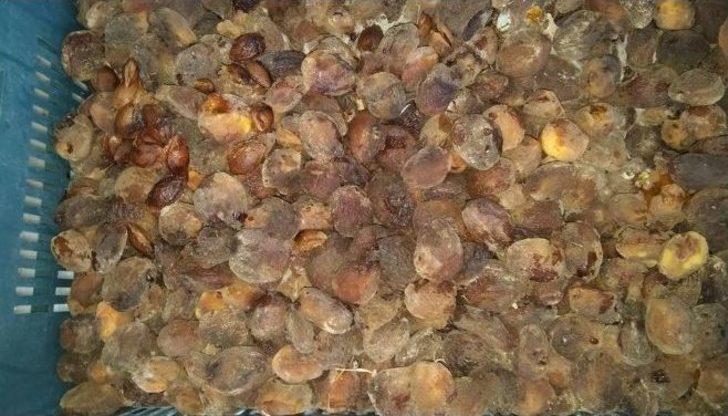 Çiftçinin Yüzü Yine Gülmedi G5