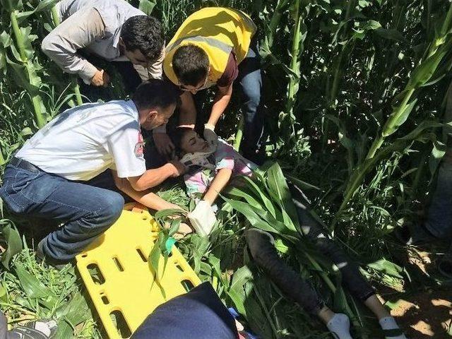 Otomobil, Mısır Tarlasına Uçtu: 1’i Ağır 3 Yaralı