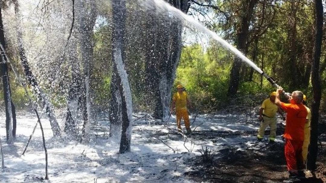 Manavgat&rsquo;ta Orman Yangını