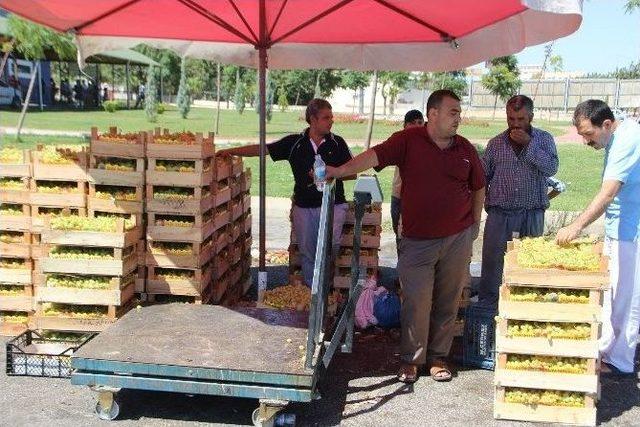 Şanlıurfa’da Hal Kapalı Olduğu İçin Sebze Ve Meyve Kara Borsaya Düştü