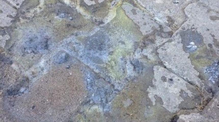 Çocukların Oyununu, ’saldırı’ Diye Yazdı